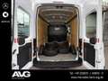 Ford Transit FT 350 2.0 TDCi Trend L3 Bianco - thumbnail 10