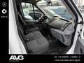 Ford Transit FT 350 2.0 TDCi Trend L3 Bianco - thumbnail 7