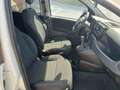 Fiat Panda Panda Cross 1.0 FireFly S&S Hybrid Bianco - thumbnail 4