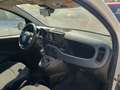 Fiat Panda Panda Cross 1.0 FireFly S&S Hybrid Bianco - thumbnail 3