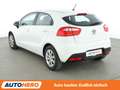 Kia Rio 1.2 Edition 7 *KLIMA*GARANTIE* Weiß - thumbnail 4
