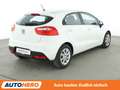 Kia Rio 1.2 Edition 7 *KLIMA*GARANTIE* Weiß - thumbnail 6
