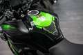 Kawasaki Versys 650 Grand Tourer, sofort lieferbar zelena - thumbnail 9