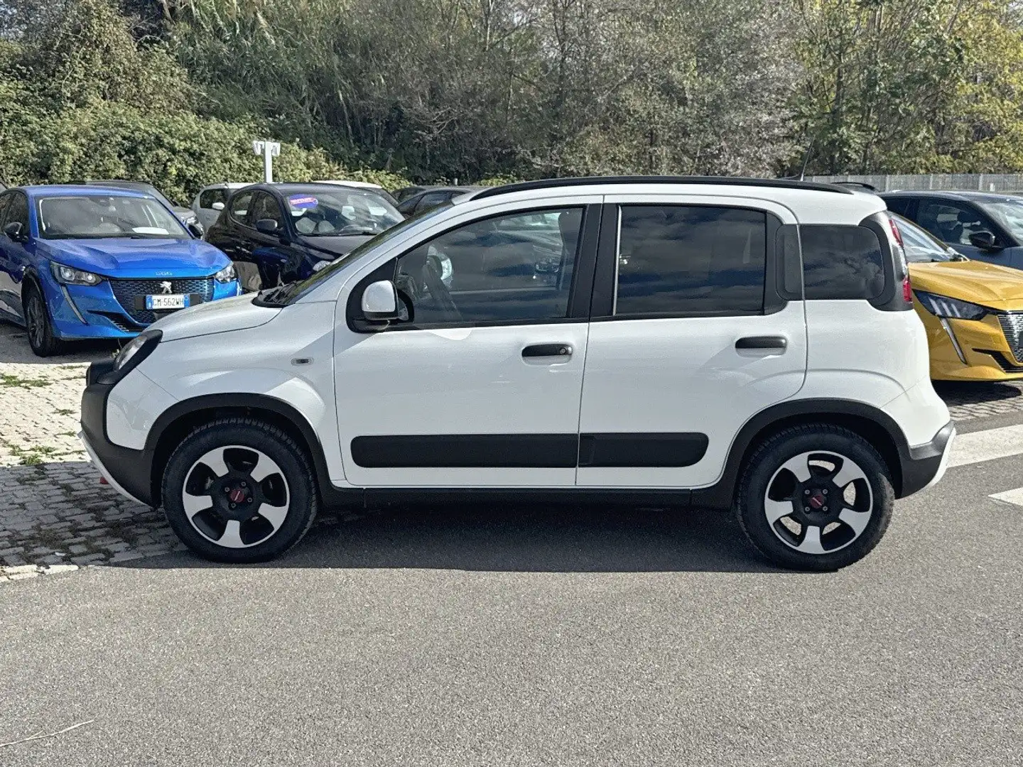 Fiat Panda 1.0 FireFly 70cv S&S Hybrid Cross Bianco - 2
