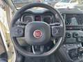 Fiat Panda 1.0 FireFly 70cv S&S Hybrid Cross Bianco - thumbnail 13