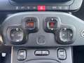 Fiat Panda 1.0 FireFly 70cv S&S Hybrid Cross Bianco - thumbnail 14