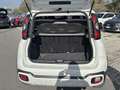 Fiat Panda 1.0 FireFly 70cv S&S Hybrid Cross Bianco - thumbnail 11