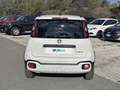 Fiat Panda 1.0 FireFly 70cv S&S Hybrid Cross Bianco - thumbnail 4