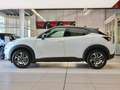 Nissan Juke 1.0 DIG-T 114 PS 6MT N-Conn Kam Navi SitzH Blanco - thumbnail 5