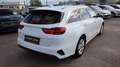 Kia Ceed / cee'd Ceed 1.6 CRDi ACC NAVI KAMERA SPUR... Weiß - thumbnail 10