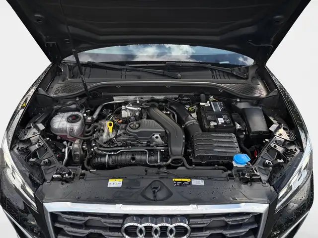Audi Q2 view 14