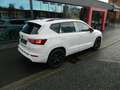 CUPRA Ateca VZ 300 PS DSG 4Drive CupraPlusPaket/Sitzheiz/elSit Weiß - thumbnail 6