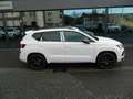 CUPRA Ateca VZ 300 PS DSG 4Drive CupraPlusPaket/Sitzheiz/elSit Weiß - thumbnail 5