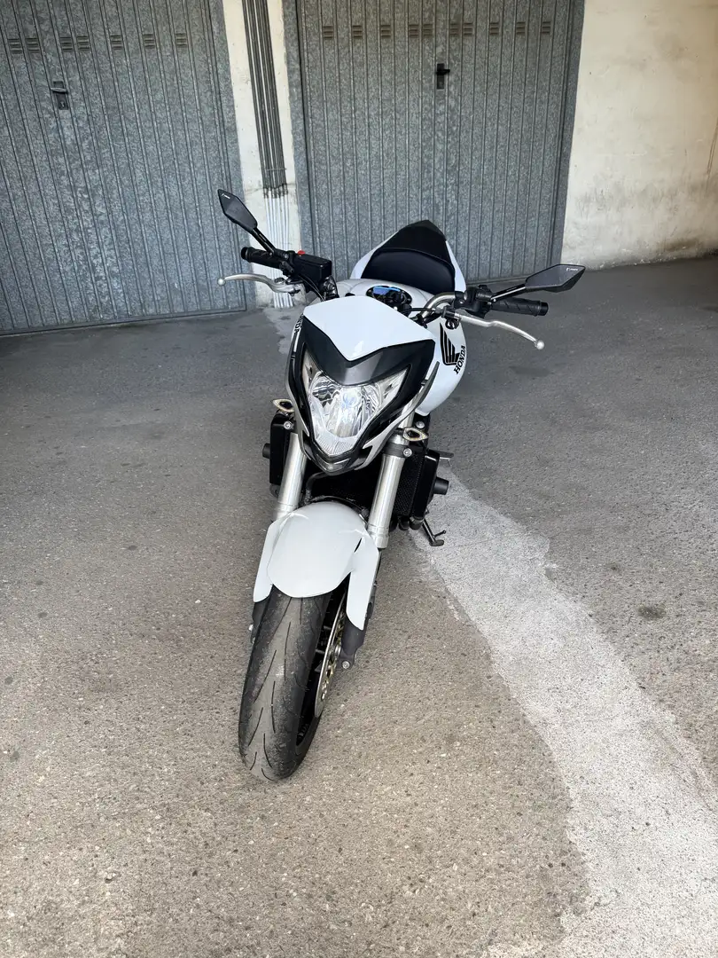 Honda Hornet CB600F - 1