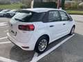 Citroen C4 PureTech 110 Collection Weiß - thumbnail 3