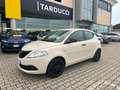 Lancia Ypsilon Ypsilon 1.2 69 CV 5 porte S&S Elefantino Blu Bianco - thumbnail 8