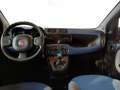 Fiat Panda Panda III 2012 1.2 Easy 69cv Blu/Azzurro - thumbnail 12