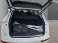 Audi Q5 50 2.0 TFSI e quattro S-Line Weiß - thumbnail 14