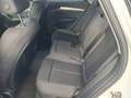 Audi Q5 50 2.0 TFSI e quattro S line  AHK-klappbar Navi di Bianco - thumbnail 13