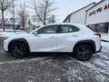 Lexus UX 250h EXECUTIVE/ACC/LED/NAVI/DAB/SITZH/KAMERA Weiß - thumbnail 7