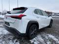 Lexus UX 250h EXECUTIVE/ACC/LED/NAVI/DAB/SITZH/KAMERA Weiß - thumbnail 4