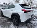 Lexus UX 250h EXECUTIVE/ACC/LED/NAVI/DAB/SITZH/KAMERA Weiß - thumbnail 5