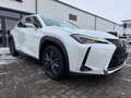 Lexus UX 250h EXECUTIVE/ACC/LED/NAVI/DAB/SITZH/KAMERA Weiß - thumbnail 3
