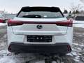 Lexus UX 250h EXECUTIVE/ACC/LED/NAVI/DAB/SITZH/KAMERA Weiß - thumbnail 8