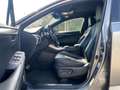 Lexus NX 300h Hybrid 4WD F-Sport*SEDILI RISCALDATI*TETTO PANOR. Gris - thumbnail 10