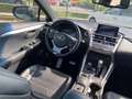 Lexus NX 300h Hybrid 4WD F-Sport*SEDILI RISCALDATI*TETTO PANOR. Gris - thumbnail 14