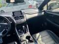 Lexus NX 300h Hybrid 4WD F-Sport*SEDILI RISCALDATI*TETTO PANOR. Сірий - thumbnail 15