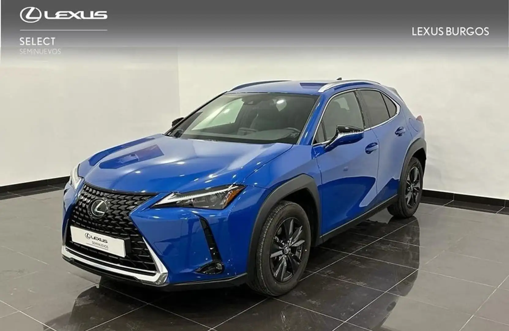 Lexus UX 250h 2WD PREMIUM Bleu - 1