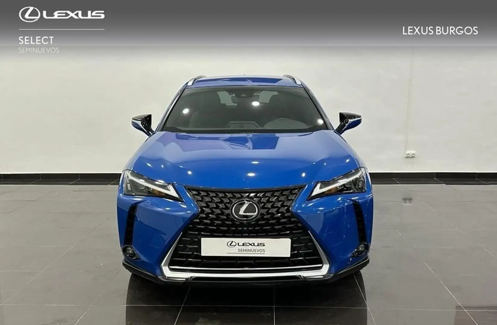 Lexus UX 250h 2WD PREMIUM Blauw - 2