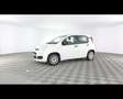 Fiat New Panda 1.0 FireFly Hybrid Bianco - thumbnail 1