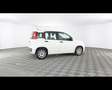 Fiat New Panda 1.0 FireFly Hybrid Bianco - thumbnail 7