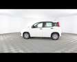 Fiat New Panda 1.0 FireFly Hybrid Bianco - thumbnail 12