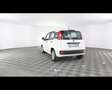 Fiat New Panda 1.0 FireFly Hybrid Bianco - thumbnail 10