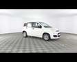 Fiat New Panda 1.0 FireFly Hybrid Bianco - thumbnail 5