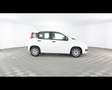 Fiat New Panda 1.0 FireFly Hybrid Bianco - thumbnail 6