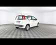 Fiat New Panda 1.0 FireFly Hybrid Bianco - thumbnail 8