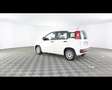 Fiat New Panda 1.0 FireFly Hybrid Bianco - thumbnail 11