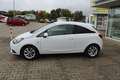 Opel Corsa Frontscheibenheizung, Sitz-/Lenkradheizung, PDC Wit - thumbnail 5