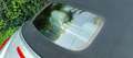 Volkswagen New Beetle Cabrio 1.9 tdi 105cv - thumbnail 8