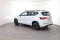 CUPRA Ateca 1.5 TSI DSG 150 Weiß - thumbnail 4