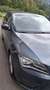 SEAT Toledo Grau - thumbnail 5