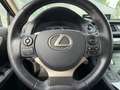 Lexus CT 200h Edition 30 DEALER ONDERHOUDEN Grau - thumbnail 27