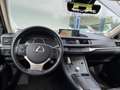 Lexus CT 200h Edition 30 DEALER ONDERHOUDEN Grau - thumbnail 13
