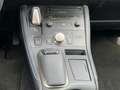 Lexus CT 200h Edition 30 DEALER ONDERHOUDEN Grau - thumbnail 15