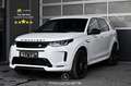 Land Rover Discovery Sport 2.0 P300e R Dynamic Pickerl NEU Weiß - thumbnail 1
