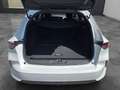 Opel Astra ST 1,2 Turbo MHEV Edition Aut. Weiß - thumbnail 11